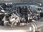 2024 Ford Expedition 4x2 SUV for sale #Z6679 - photo 28