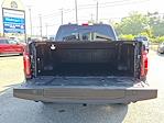New 2024 Ford F-150 XLT SuperCrew Cab 4x4 Pickup for sale #Z6713 - photo 30