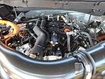 2024 Ford F-150 SuperCrew Cab 4x4 Pickup for sale #Z6755 - photo 27