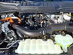 2024 Ford F-150 SuperCrew Cab 4x4 Pickup for sale #Z6859 - photo 28