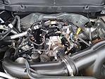 2023 Ford F-150 SuperCrew Cab 4x4 Pickup for sale #Z6885 - photo 28