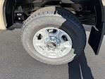New 2026 Ford F-250 XLT Regular Cab for sale #T02774 - photo 22