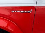 New 2025 Ford Bronco Stroppe Edition for sale #T20936 - photo 27
