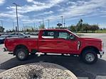 New 2025 Ford F-250 XL Crew Cab for sale #T44608 - photo 6