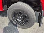 New 2025 Ford F-250 XLT Crew Cab for sale #T67010 - photo 24
