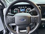 2023 Ford F-250 Crew Cab 4WD Pickup for sale #TA16450 - photo 13