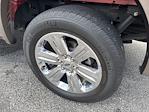 2019 Ford F-150 SuperCrew Cab 4x2 Pickup for sale #TA62424 - photo 24