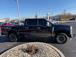 Used 2024 Ford F-250 Platinum Crew Cab for sale #TA77895 - photo 6