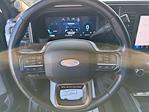 Used 2024 Ford F-250 Platinum Crew Cab for sale #TA77895 - photo 13