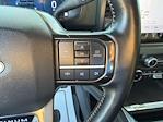 Used 2024 Ford F-250 Platinum Crew Cab for sale #TA77895 - photo 15