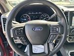 2019 Ford F-250 Crew Cab 4x4 Pickup for sale #TA89076 - photo 14
