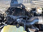 2023 Ford F-150 Regular Cab RWD Pickup for sale #TB20743 - photo 14