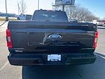 2023 Ford F-150 Regular Cab RWD Pickup for sale #TB20743 - photo 10