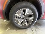 2021 Kia Sorento Hybrid FWD SUV for sale #79891FB - photo 30