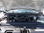 2021 Ford F-350 Regular Cab SRW 4x4 Pickup for sale #6032 - photo 9