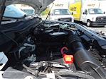 2021 Ford F-350 Regular Cab SRW 4x4 Pickup for sale #6032 - photo 11