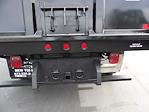 2019 Ford F-450 Regular Cab DRW RWD Dump Truck for sale #6099 - photo 12