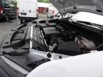 Used 2024 Chevrolet Silverado 1500 Work Truck Regular Cab Pickup for sale #6118 - photo 15