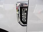 2020 Ford F-250 Regular Cab 4x4 Cab Chassis for sale #6126 - photo 4