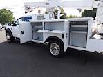 2017 Ford F-550 Crew Cab DRW 4x4 Bucket Truck for sale #6137 - photo 6