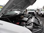 Used 2024 Chevrolet Silverado 1500 Work Truck Regular Cab for sale #6163 - photo 19