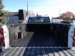 2024 Chevrolet Silverado 1500 Regular Cab RWD Pickup for sale #6169 - photo 9