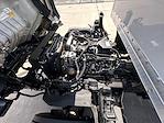 Used 2020 Isuzu NPR-HD Regular Cab Box Truck for sale #17607Wwts - photo 14