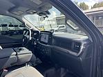 2025 Ford F-150 Regular Cab 4WD Pickup for sale #A1T63933 - photo 13