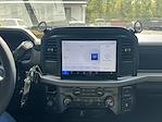2025 Ford F-150 Regular Cab 4WD Pickup for sale #A1T63933 - photo 19