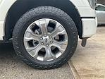 2021 Ford F-150 SuperCrew Cab 4WD Pickup for sale #AP12801 - photo 10