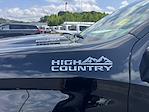 2025 Chevrolet Silverado 1500 Crew Cab 4x4 Pickup for sale #AT62992 - photo 10