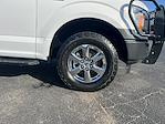 2019 Ford F-150 Super Cab 4x4 Pickup for sale #AT63599 - photo 12