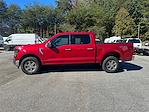 2024 Ford F-150 SuperCrew Cab 4WD Pickup for sale #AT63966 - photo 8