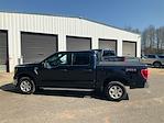 2023 Ford F-150 SuperCrew Cab 4WD Pickup for sale #AT64270 - photo 8