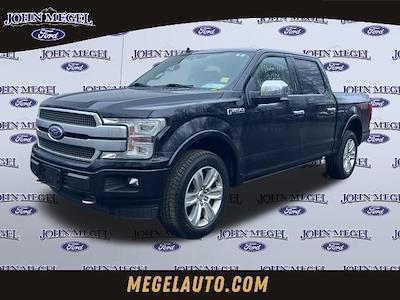 Used 2019 Ford F-150 Platinum SuperCrew Cab for sale #AT64879 - photo 1