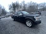 Used 2019 Ford F-150 Platinum SuperCrew Cab for sale #AT64879 - photo 4