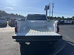 2024 Chevrolet Silverado 2500 Crew Cab 4x4 Pickup for sale #BT63284 - photo 8