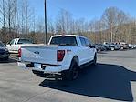Used 2024 Ford F-150 Platinum SuperCrew Cab for sale #P12806 - photo 6