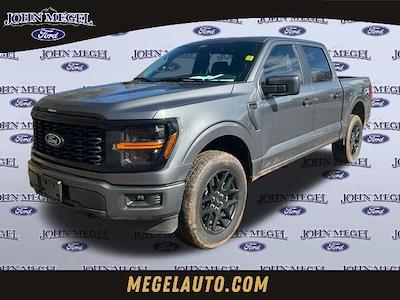 Used 2024 Ford F-150 - photo 1
