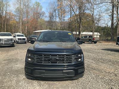 Used 2025 Ford F-150 - photo 1