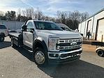 2025 Ford F-450 Regular Cab DRW 4WD Cab Chassis for sale #R64904 - photo 3