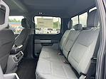 New 2025 Ford F-150 XLT SuperCrew Cab 4x4 Pickup for sale #T62863 - photo 14