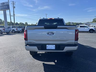 2025 Ford F-150 SuperCrew Cab 4x4 Pickup for sale #T62936 - photo 2