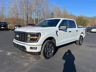 2025 Ford F-150 SuperCrew Cab 4x4 Pickup for sale #T63100 - photo 1
