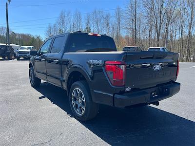 2025 Ford F-150 SuperCrew Cab 4x4 Pickup for sale #T63103 - photo 2