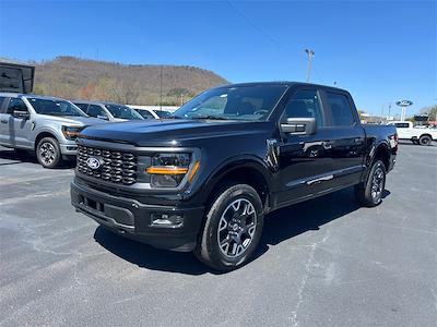 2025 Ford F-150 SuperCrew Cab 4x4 Pickup for sale #T63105 - photo 1
