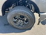 2025 Ford F-250 Crew Cab 4x4 Pickup for sale #T63148 - photo 12