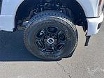 2025 Ford F-250 Crew Cab 4x4 Pickup for sale #T63166 - photo 11