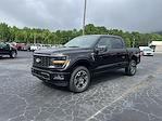 2025 Ford F-150 SuperCrew Cab 4x4 Pickup for sale #T63456 - photo 1
