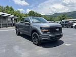 2025 Ford F-150 SuperCrew Cab 4x4 Pickup for sale #T63519 - photo 4